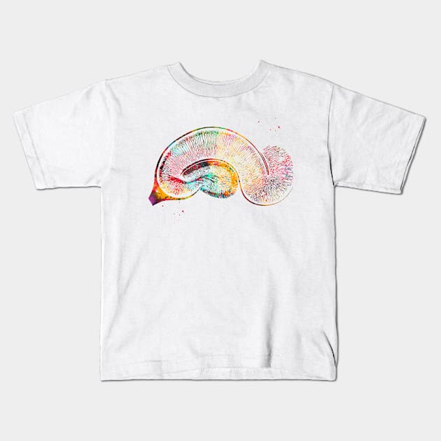 Brain Pyramidal Neurons Kids T-Shirt by erzebeth